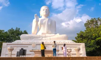 8 Days 7 Nights Kandy Nuwara Eliya and Colombo Leisure Tour Package 8 Days 7 Nights Kandy Nuwara Eliya and Colombo Leisure Tour Package