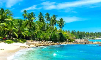 7 Days 6 Nights Kandy Bentota and Colombo Leisure Tour Package 7 Days 6 Nights Kandy Bentota and Colombo Leisure Tour Package