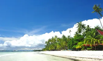 4 Nights 5 Days Panglao Island Tour Package