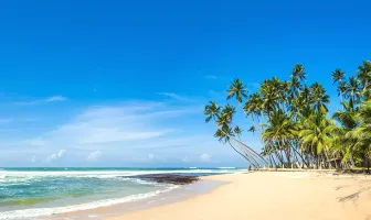 Delightful 5 Nights 6 Days Kandy and Bentota Tour Package Delightful 5 Nights 6 Days Kandy and Bentota Tour Package