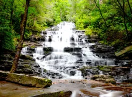 2 Nights 3 Days Terjola Tour Package