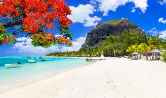 5 Nights 6 Days Mauritius Family Tour Package 5 Nights 6 Days Mauritius Family Tour Package