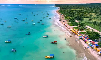 Beautiful Salvador 3 Nights 4 Days Tour Package Beautiful Salvador 3 Nights 4 Days Tour Package