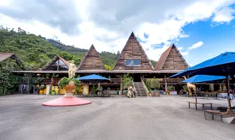 12 Nights 13 Days Colombia Solo Tour Package