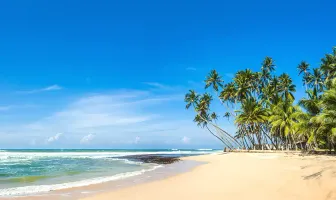 6 Nights 7 Days Kandy, Nuwara Eliya, Colombo Sri Lanka Tour Package 6 Nights 7 Days Kandy, Nuwara Eliya, Colombo Sri Lanka Tour Package