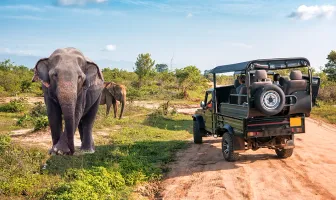 Stunning Tanzania 5 Days 4 Nights Safari Tour Package Stunning Tanzania 5 Days 4 Nights Safari Tour Package