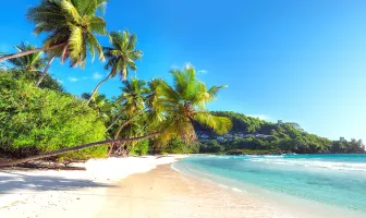 Best in Seychelles 4 Nights 5 Days New Year Tour Package Best in Seychelles 4 Nights 5 Days New Year Tour Package