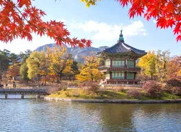 Amazing 5 Nights 6 Days Seoul South Korea Tour Package