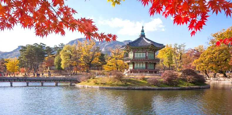 Seoul Tour Packages, Holidays Vacation in Seoul - Regencyholidays.com