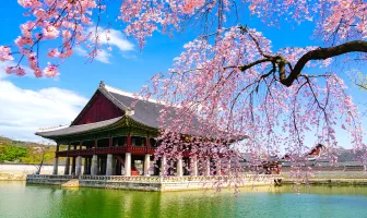 Experience Seoul 5 Days 4 Nights Tour Package