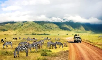 Astonishing Tanzania 5 Nights 6 Days Safari Tour Package Astonishing Tanzania 5 Nights 6 Days Safari Tour Package