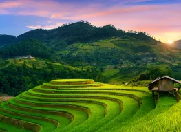 5 Days 4 Nights Hanoi and Halong Bay Cruise Tour Package