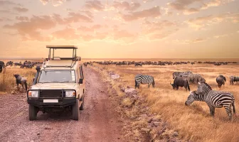 Amazing Tanzania 4 Nights 5 Days Safari Tour Package Amazing Tanzania 4 Nights 5 Days Safari Tour Package