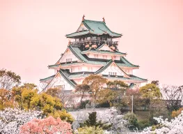 Scenic Tokyo 5 Nights 6 Days Tour Package