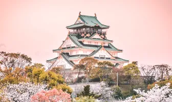 Scenic Tokyo 5 Nights 6 Days Tour Package Scenic Tokyo 5 Nights 6 Days Tour Package