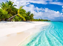 Manila and Laguna 4 Nights 5 Days Nature Tour Package