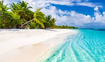 Manila and Laguna 4 Nights 5 Days Nature Tour Package