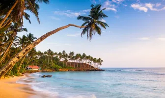 Classic Sri Lanka 6 Nights 7 Days Tour Package Classic Sri Lanka 6 Nights 7 Days Tour Package