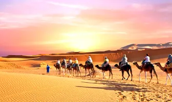 Nile and Red Sea 7 Nights 8 Days Egypt Tour Package Nile and Red Sea 7 Nights 8 Days Egypt Tour Package