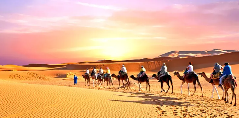 Nile and Red Sea 7 Nights 8 Days Egypt Tour Package