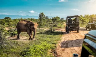 Ultimate Adventure 7 Days 6 Nights Tanzania Safari Tour Package Ultimate Adventure 7 Days 6 Nights Tanzania Safari Tour Package