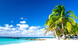 8 Nights 9 Days Colombo Kandy Bentota and Anuradhapura Tour Package 8 Nights 9 Days Colombo Kandy Bentota and Anuradhapura Tour Package