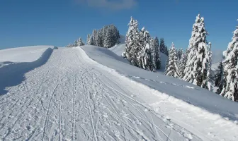 5 Nights 6 Days Interlaken Winter Tour Package 5 Nights 6 Days Interlaken Winter Tour Package
