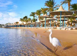 3 Nights 4 Days Hurghada City Tour Package