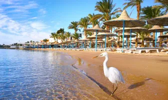 3 Nights 4 Days Hurghada City Tour Package 3 Nights 4 Days Hurghada City Tour Package