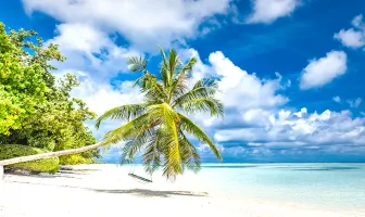 Affordable 3 Nights 4 days Maldives Couple Tour Package Affordable 3 Nights 4 days Maldives Couple Tour Package