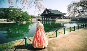 Unforgettable 9 Nights 10 Days South Korea Tour Package Unforgettable 9 Nights 10 Days South Korea Tour Package