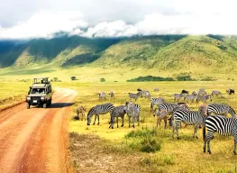 Alluring Kenya 8 Days 7 Nights Tour Package