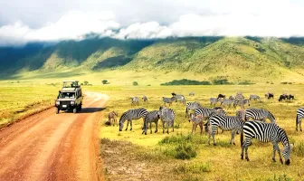 Alluring Kenya 8 Days 7 Nights Tour Package Alluring Kenya 8 Days 7 Nights Tour Package