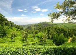 5 Nights 6 Days Sri Lanka Leisure Tour Package