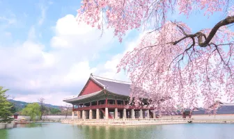 Incredible 8 Days 7 Nights Jeju Island Busan and Seoul Tour Package Incredible 8 Days 7 Nights Jeju Island Busan and Seoul Tour Package