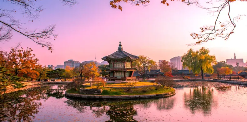 Best Selling 7 Nights 8 Days Busan and Seoul Tour Package
