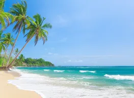 Heritage and Whale Shark Encounter Tour 4 Days 3 Nights Cebu Tour Package