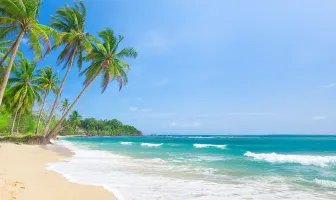 Heritage and Whale Shark Encounter Tour 4 Days 3 Nights Cebu Tour Package