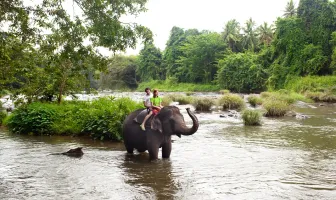 5 Days 4 Nights Nuwara Eliya and Kandy Couple Tour Package 5 Days 4 Nights Nuwara Eliya and Kandy Couple Tour Package