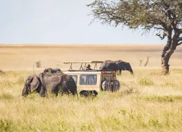 Wonderful Tanzania 5 Nights 6 Days Safari Tour Package