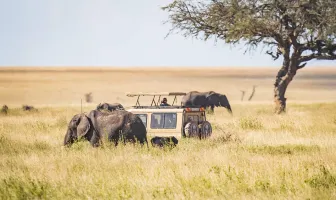 Wonderful Tanzania 5 Nights 6 Days Safari Tour Package Wonderful Tanzania 5 Nights 6 Days Safari Tour Package