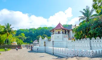 Memorable 5 Nights 6 Days Kandy and Colombo Leisure Tour Package Memorable 5 Nights 6 Days Kandy and Colombo Leisure Tour Package