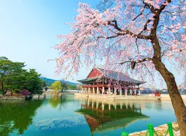 Amazing South Korea 4 Nights 5 Days Tour Package