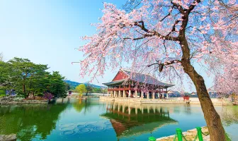 Amazing South Korea 4 Nights 5 Days Tour Package