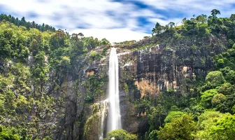 Enlivening 4 Days & 3 Nights Sri Lanka Family Holiday Package Enlivening 4 Days & 3 Nights Sri Lanka Family Holiday Package