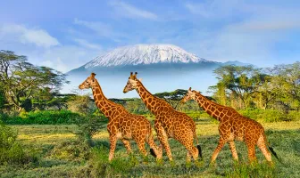 Best of Kenya 8 Days 7 Nights Tour Package Best of Kenya 8 Days 7 Nights Tour Package