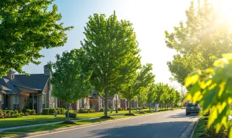 Top Rated 4 Nights 5 Days Lanchkhuti Tour Package Top Rated 4 Nights 5 Days Lanchkhuti Tour Package