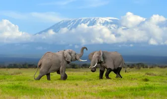 Safari Cultural and Zanzibar 14 Nights 15 Days Tanzania Tour Package Safari Cultural and Zanzibar 14 Nights 15 Days Tanzania Tour Package