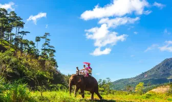 Delightful 8 Nights 9 Days Bentota Colombo and Kandy Honeymoon Package Delightful 8 Nights 9 Days Bentota Colombo and Kandy Honeymoon Package