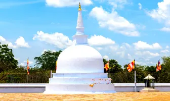 Anuradhapura Trincomalee Habarana and Kandy 5 Nights 6 Days Tour Package Anuradhapura Trincomalee Habarana and Kandy 5 Nights 6 Days Tour Package